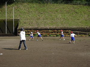 Sdsc06046 Sdsc06046