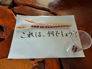 Sdsc06678_2