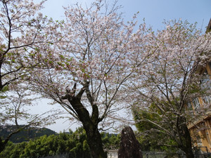 Dsc04707