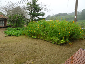 Dsc06135