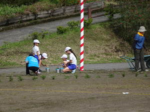 Dsc06205